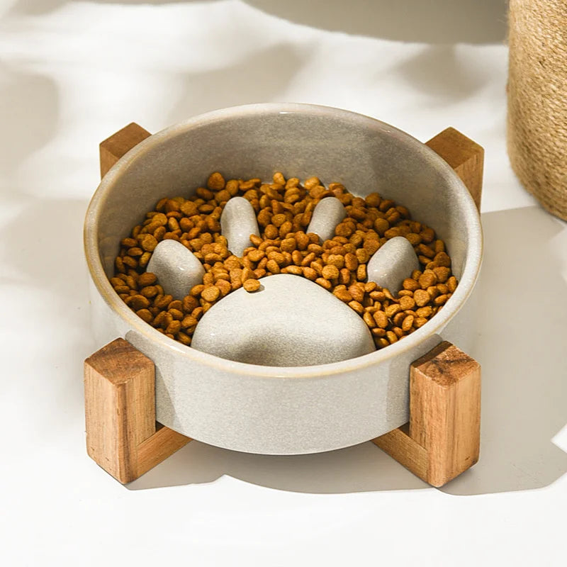 Slow Ceramic Food Bowl  for Dogs and Cats