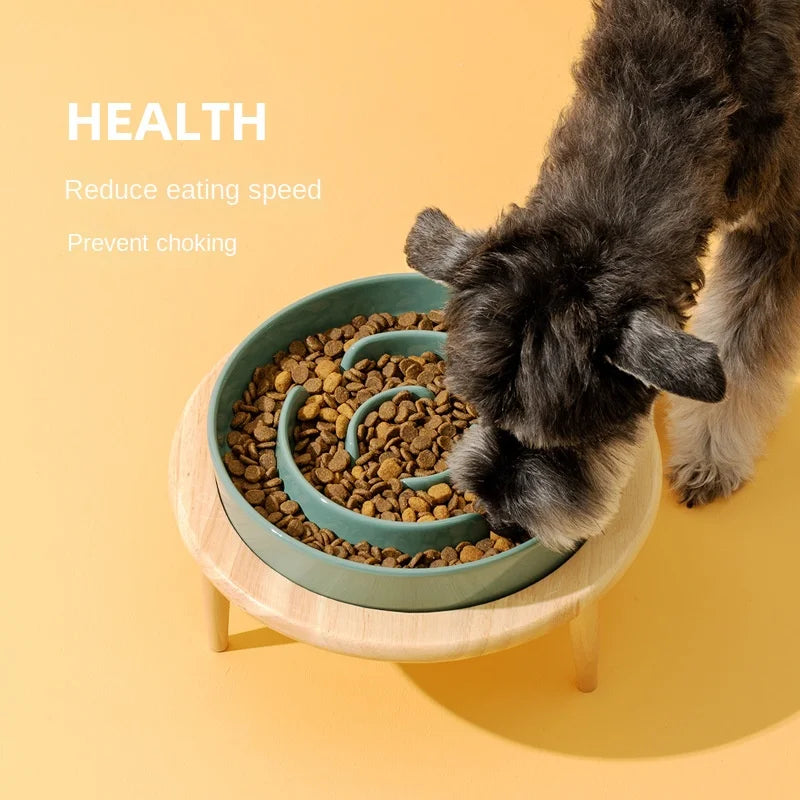 Slow Feeding Bowl for Dogs
