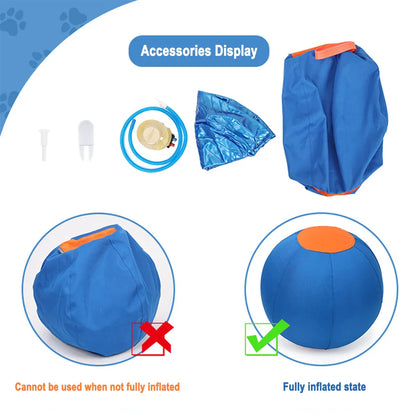 Outdoor Inflatable Big Ball Dog Toy