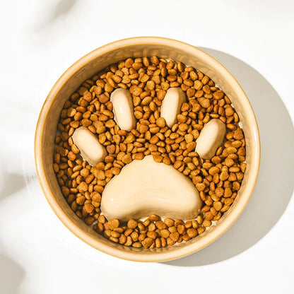 Slow Ceramic Food Bowl  for Dogs and Cats