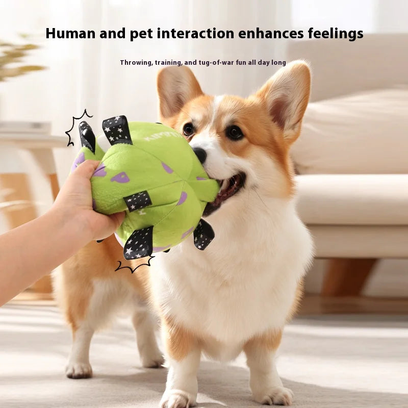 Dog Football Toy – Training & Play Ball with Built-In Bell for Puppies and Small Dogs