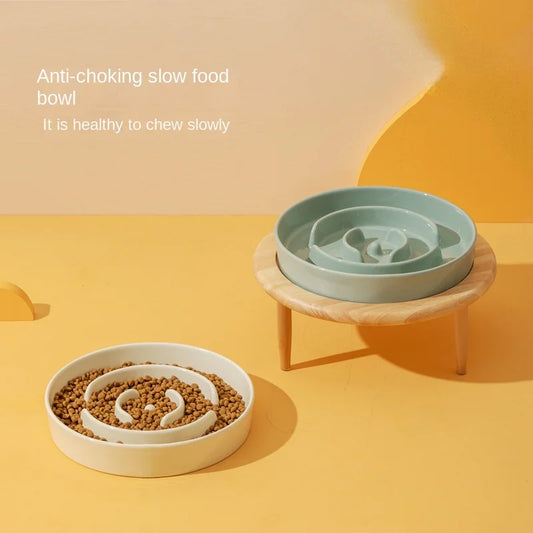 Slow Feeding Bowl for Dogs