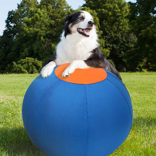Outdoor Inflatable Big Ball Dog Toy