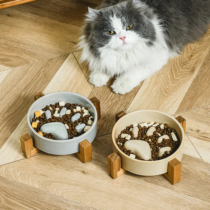 Slow Ceramic Food Bowl  for Dogs and Cats